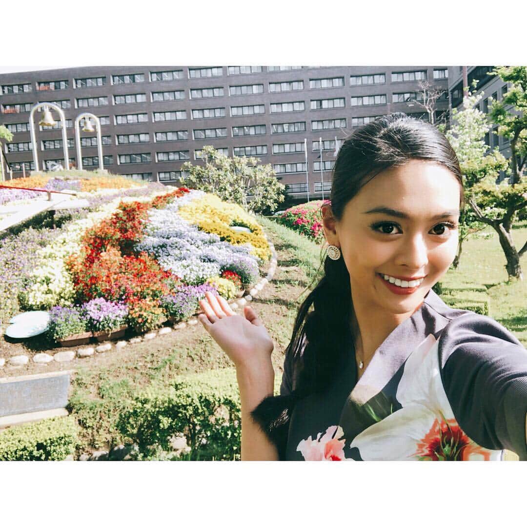 遊海 Yuumiのグルメインスタ