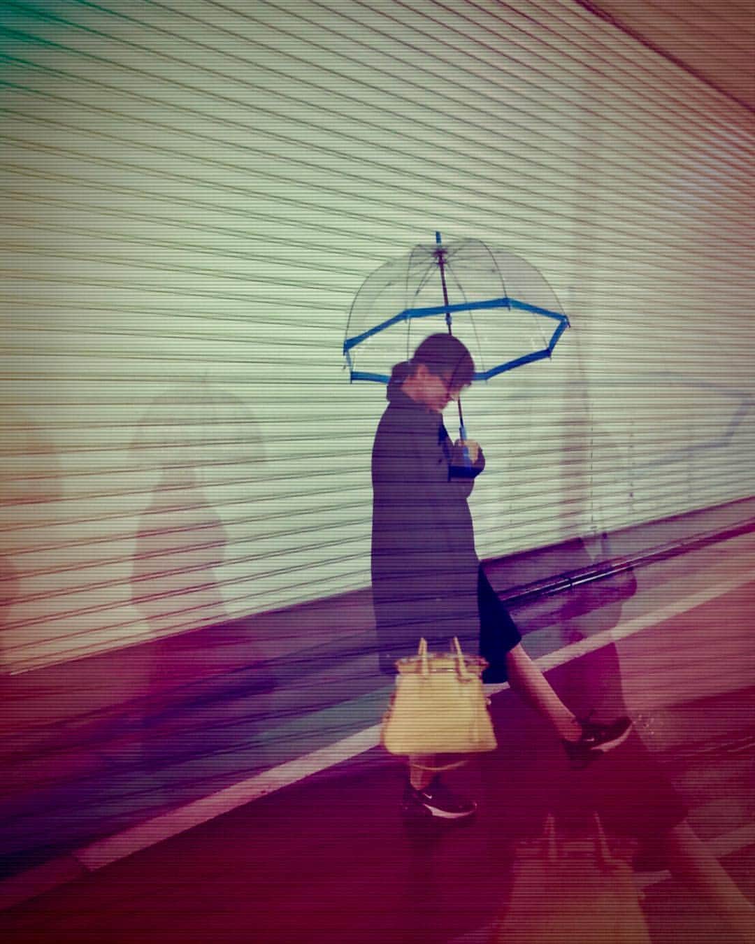 音月桂さんのインスタグラム写真 - (音月桂Instagram)「☂️☂️☂️ 雨の日もきっと好きになれる♡ #FULTON #BIRDCAGE #プレゼント #お気に入り #他の色も欲しくなるう」4月25日 18時04分 - keiotozuki_official