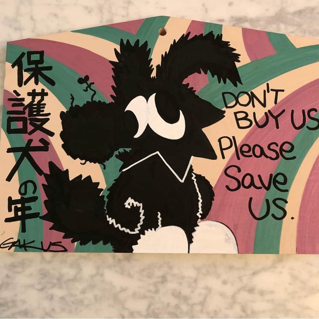 山本”KID”徳郁さんのインスタグラム写真 - (山本”KID”徳郁Instagram)「4/28 沖縄市中央パークアベニューにて開催の第5回 沖縄ヴィーガンフードフェスにトークショーとSKOLOCTとのライブペイントで招待されました。保護犬を飼っていたり闘犬反対とか動物の事に対しての僕の考えに共感して貰えたらしく。呼んで貰いました。是非観に来て下さい！ #沖縄ヴィーガンフードフェス #保護犬 #動物愛護」4月25日 23時03分 - kid_yamamoto
