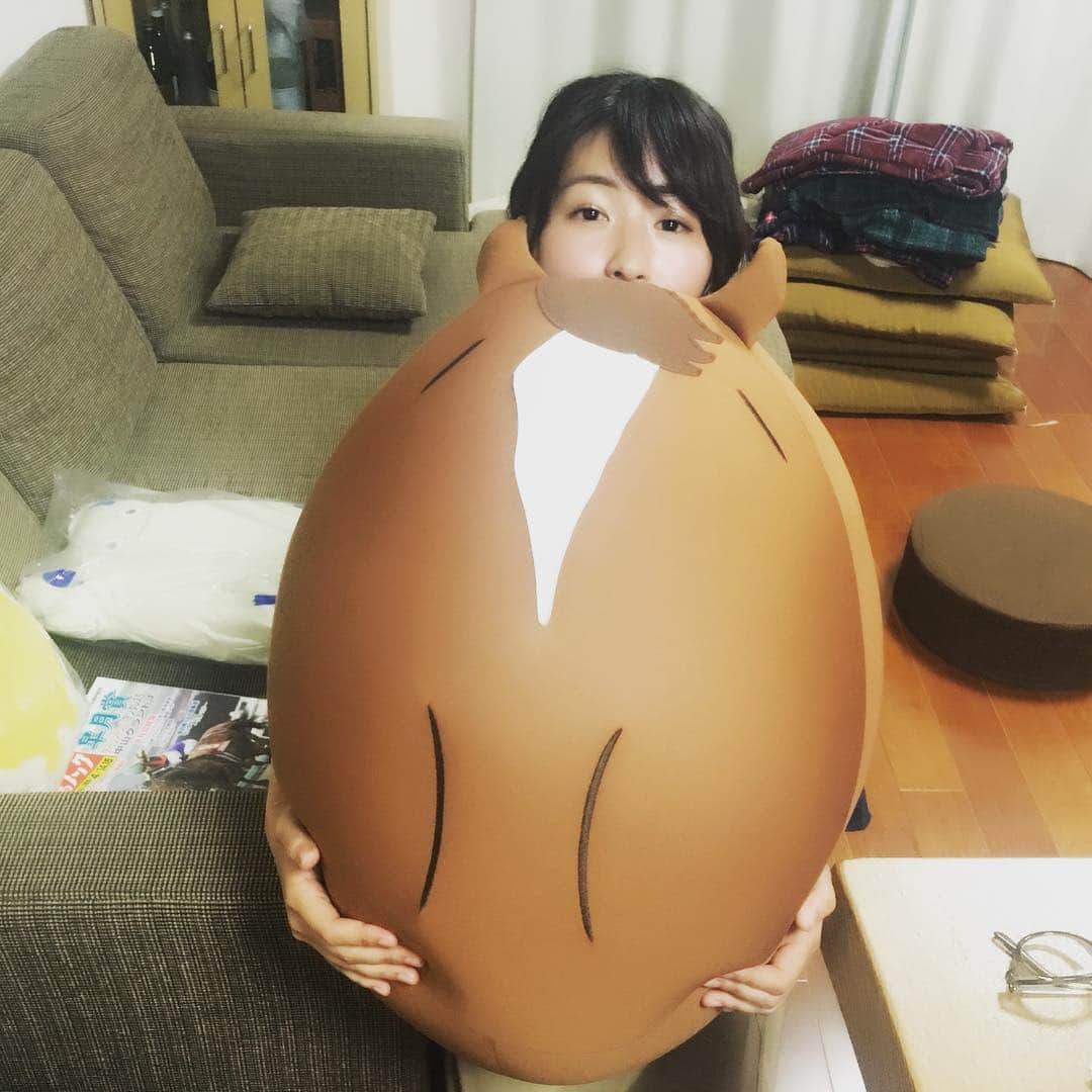 山本愛子さんのインスタグラム写真 - (山本愛子Instagram)「可愛い生き物･･･」4月11日 9時00分 - aikoyade1219