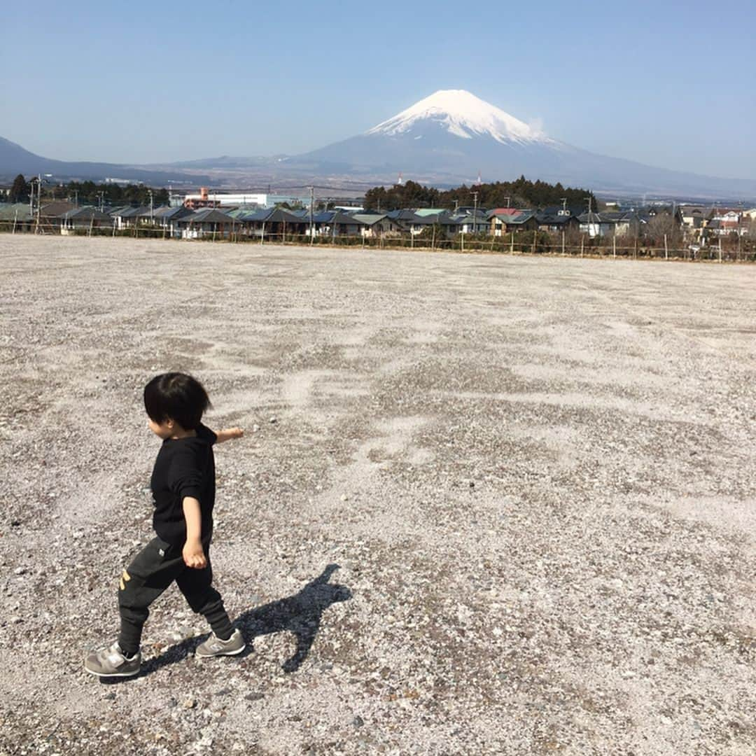 松室麻衣さんのインスタグラム写真 - (松室麻衣Instagram)「息子の幼稚園入学と、ピアノの命日だった昨日。 . 時の流れはどんどん早く、貴重なものだと感じる。 ショパンのワルツとコーヒーを手に、少し真面目に自分の役割や仕事のことを考えたが、考えすぎはいけない癖（笑） . . 昨日、息子におめでとうって言ったら、ママもおめでとうと言われて、なんだかとっても嬉しかった。 . 今朝、飲み水と花の水を変えながら、ピアノに久しぶりにゆっくりと話しかけたら、少し寂しかったけど、勝手に勇気をもらった。笑ってくれている気がした。 . 毎日バタバタで、やらなきゃいけないこともいっぱいだけど、幼稚園の準備で苦手なミシンも頑張ったことだし、ひとつずつ頑張ろう！ #新生活 #ノーフォークテリア #chopin #ピアノの練習をもっとしたい」4月11日 11時04分 - mai_matsumuro