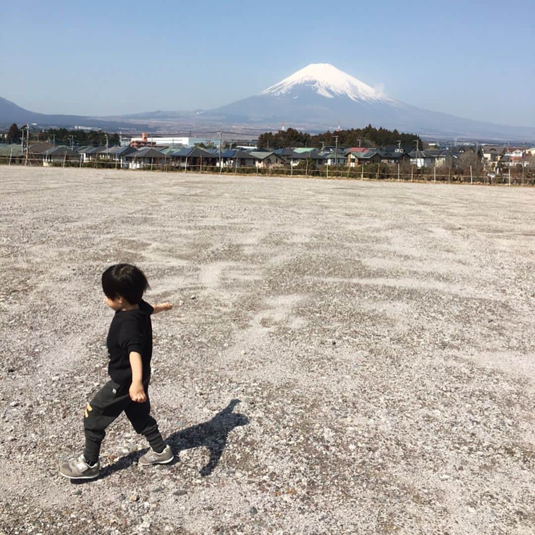松室麻衣のインスタグラム：「息子の幼稚園入学と、ピアノの命日だった昨日。 . 時の流れはどんどん早く、貴重なものだと感じる。 ショパンのワルツとコーヒーを手に、少し真面目に自分の役割や仕事のことを考えたが、考えすぎはいけない癖（笑） . . 昨日、息子におめでとうって言ったら、ママもおめでとうと言われて、なんだかとっても嬉しかった。 . 今朝、飲み水と花の水を変えながら、ピアノに久しぶりにゆっくりと話しかけたら、少し寂しかったけど、勝手に勇気をもらった。笑ってくれている気がした。 . 毎日バタバタで、やらなきゃいけないこともいっぱいだけど、幼稚園の準備で苦手なミシンも頑張ったことだし、ひとつずつ頑張ろう！ #新生活 #ノーフォークテリア #chopin #ピアノの練習をもっとしたい」