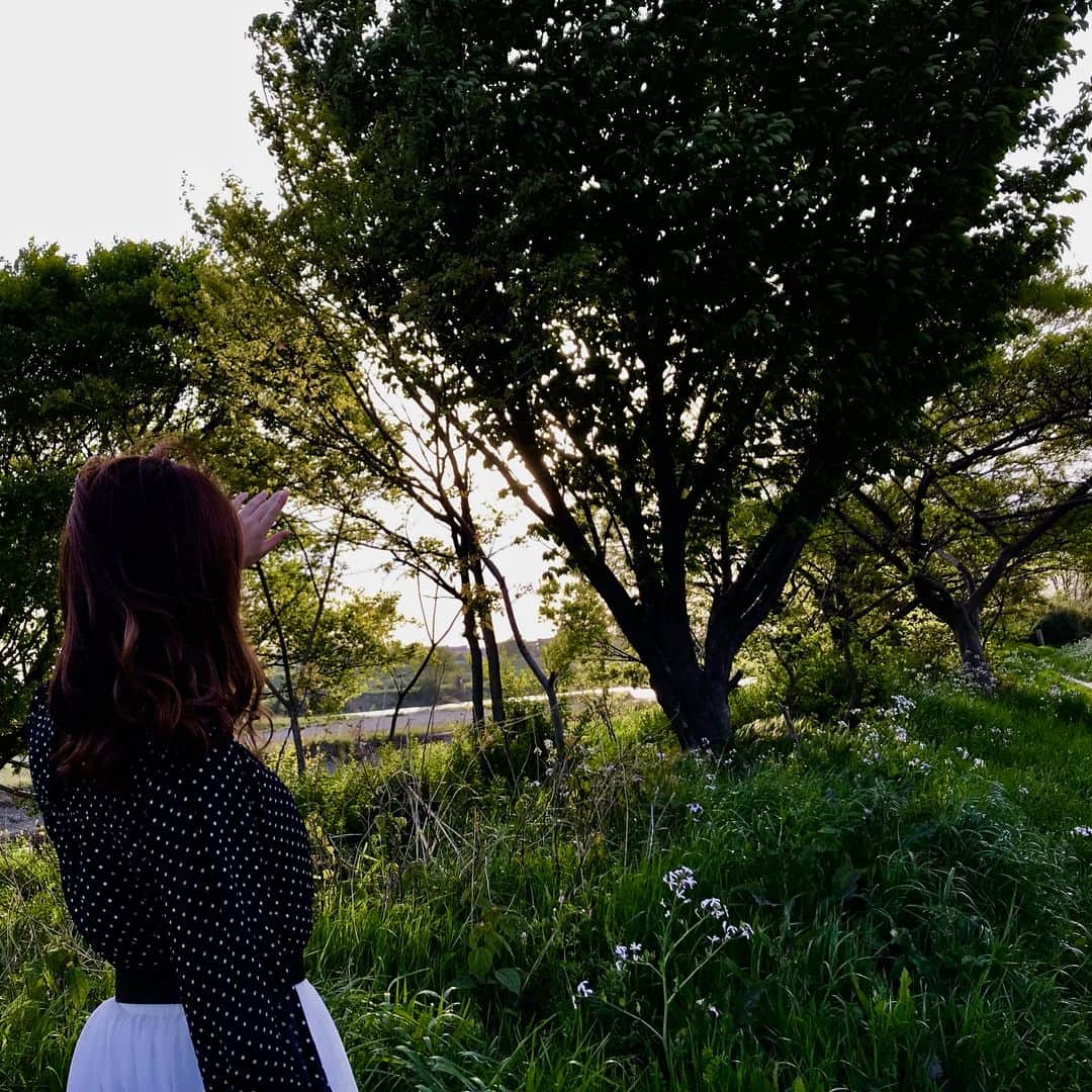 関根梓さんのインスタグラム写真 - (関根梓Instagram)「昨日は、凄い自然が綺麗な所で撮影してきました☺️ 風が少し冷たかったけど、元気に生い茂ってる緑にたまには囲まれるのも良いな。と、思った一日でした♥️ 長野県生まれだから、割と自然を欲する事が何かと多い関根でございました。 ・ ・ #instagram #photo #photos #photomodel #green #greenpoint #photoshoot #iphone #iphonephotography」4月11日 13時25分 - sekine_azusa