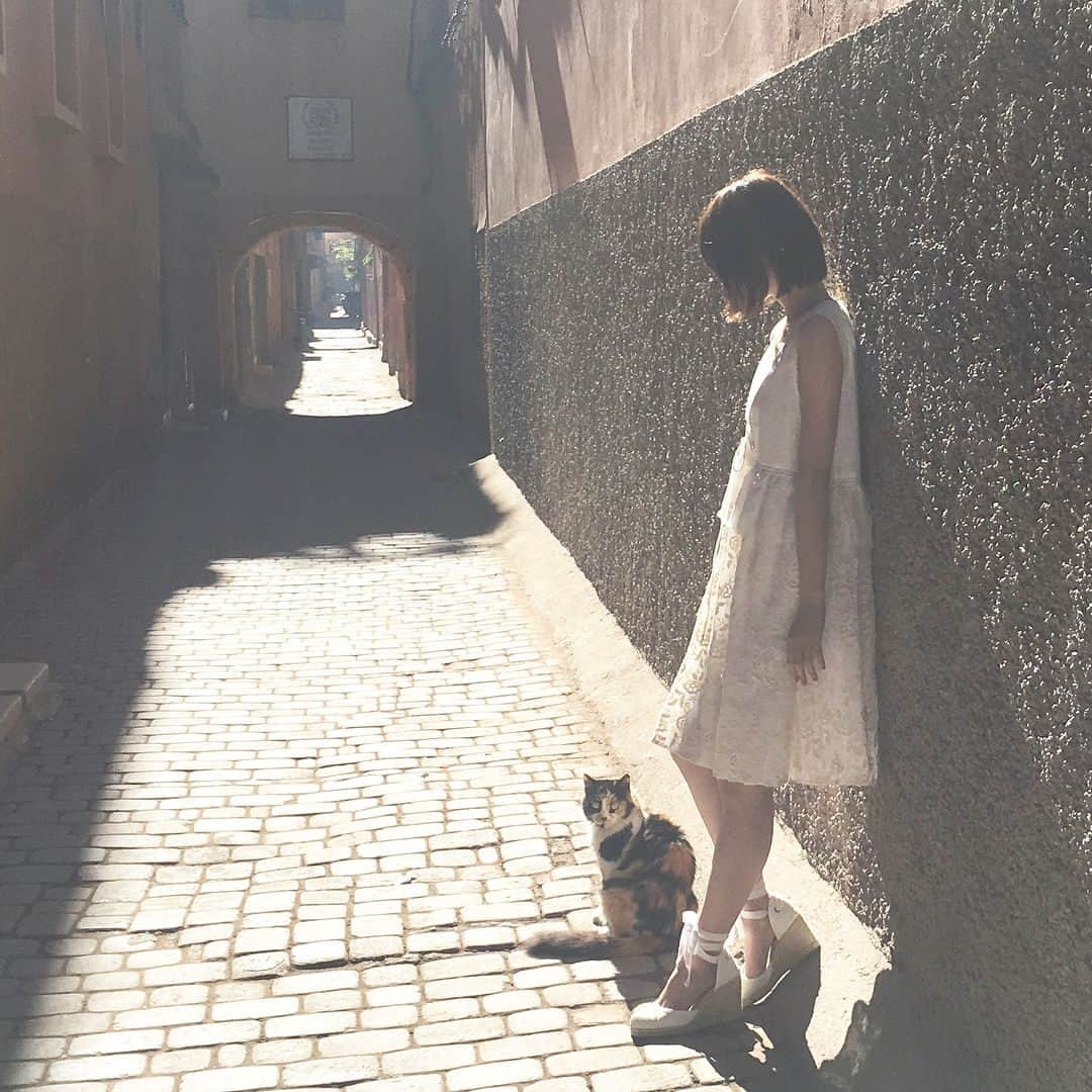 西野七瀬さんのインスタグラム写真 - (西野七瀬Instagram)「なぁちゃんのいるところには自然と動物たちが集まってくるから不思議。モロッコではフォトブックに収録されないものも含めて、ラクダ、犬&猫、カメ、カメレオン、羊…etc.たくさんの生き物との出会いがありました♡  #西野七瀬 #乃木坂46 #西野七瀬1stフォトブック #わたしのこと #5月9日発売 #なぁちゃんが乗ったラクダは後ろの子です #ちなみに女の子」4月11日 18時04分 - nanase_1st