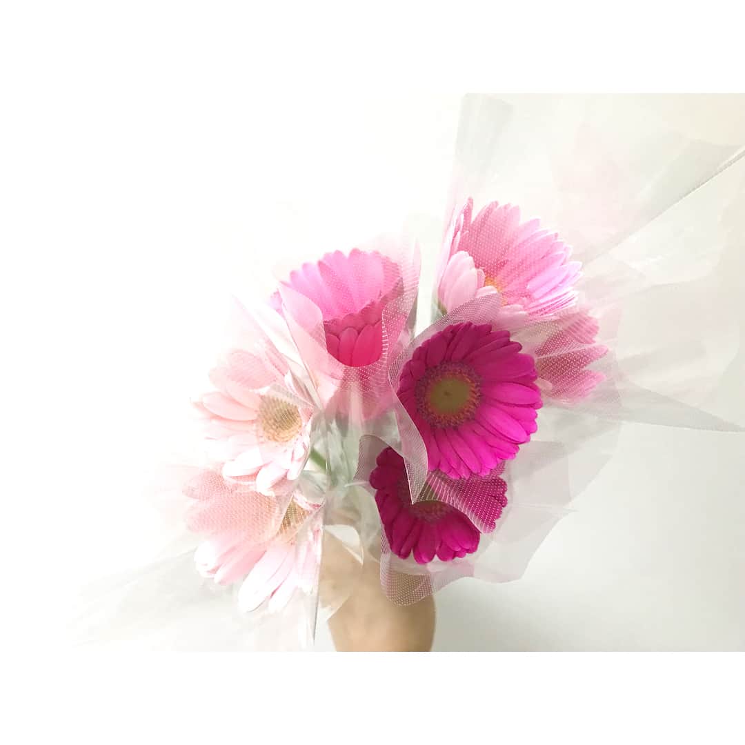 望月みささんのインスタグラム写真 - (望月みさInstagram)「大好きな花のひとつ💐 ♡ガーベラ♡ 友達が覚えていてくれて、持ってきてくれた(๑′ᴗ‵๑)  ガーベラ、ひまわり、菜の花…見てるだけで元気が出る花が大好き♥️ ・ #flowers #gerbera #love #fine #ガーベラ #花のある暮らし #花大好き #だけど生花が枯れていく姿を見るのが悲しくて #もらった花はドライフラワーにしてしまいがち #💐」4月11日 19時07分 - mochizuki.misa