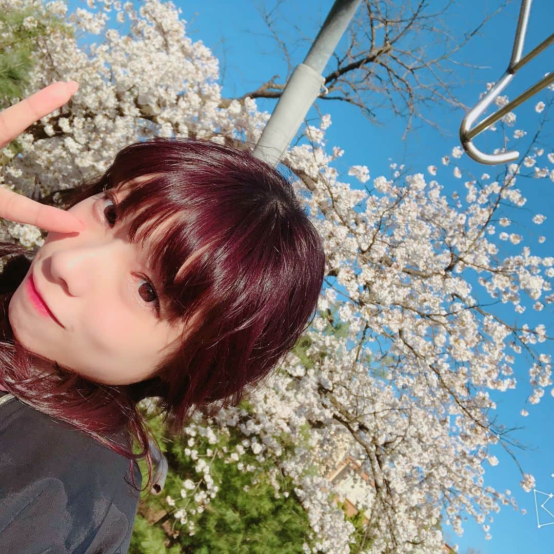 ツナマヨのインスタグラム