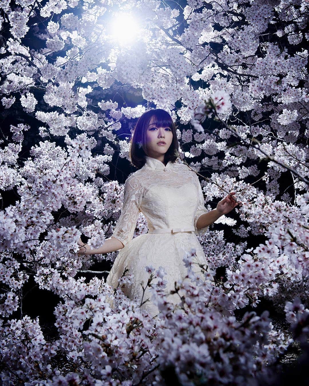 西野翔のインスタグラム：「📷お耽美写真家Kay  #portrait #桜 #cherryblossom  #naturephotography #moodygrams #artstagram  #instagood #instalike #instagramjapan #japan #japanesegirl #model #西野翔  #nishinoshow」