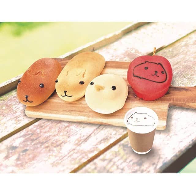 カピバラさんのインスタグラム：「今日は #パンの記念日 ということでカピバラさんパン♪ 吉祥寺のCHARABREADで実際に発売中です！ . #カピバラさん #カピバラさんと一緒 #KAPIBARASAN #水豚君 #パン #CHARABREAD」