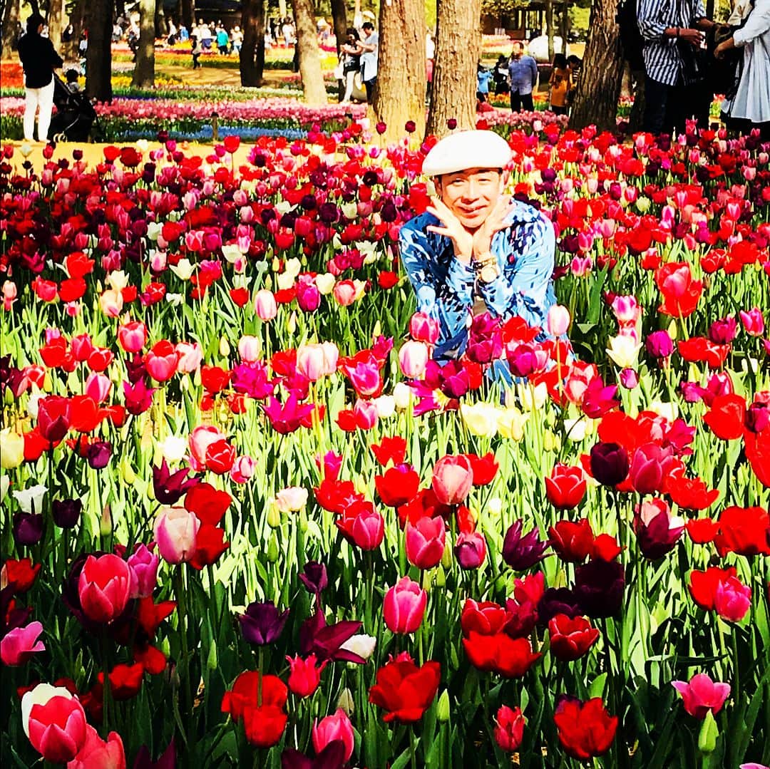 美川憲二さんのインスタグラム写真 - (美川憲二Instagram)「チューリップ畑だよ〜🌷🌷🌷🌷🌷🌷🌷🌷😍💕💕💕💕💕💕 気分は 花の子ルンルン‼️😘 #ひたち海浜公園  #チューリップ畑  #綺麗に咲いてる  #気分は花の子ルンルン  #あはははは  #美川憲二 #ものまね」4月12日 18時31分 - mikawakenji