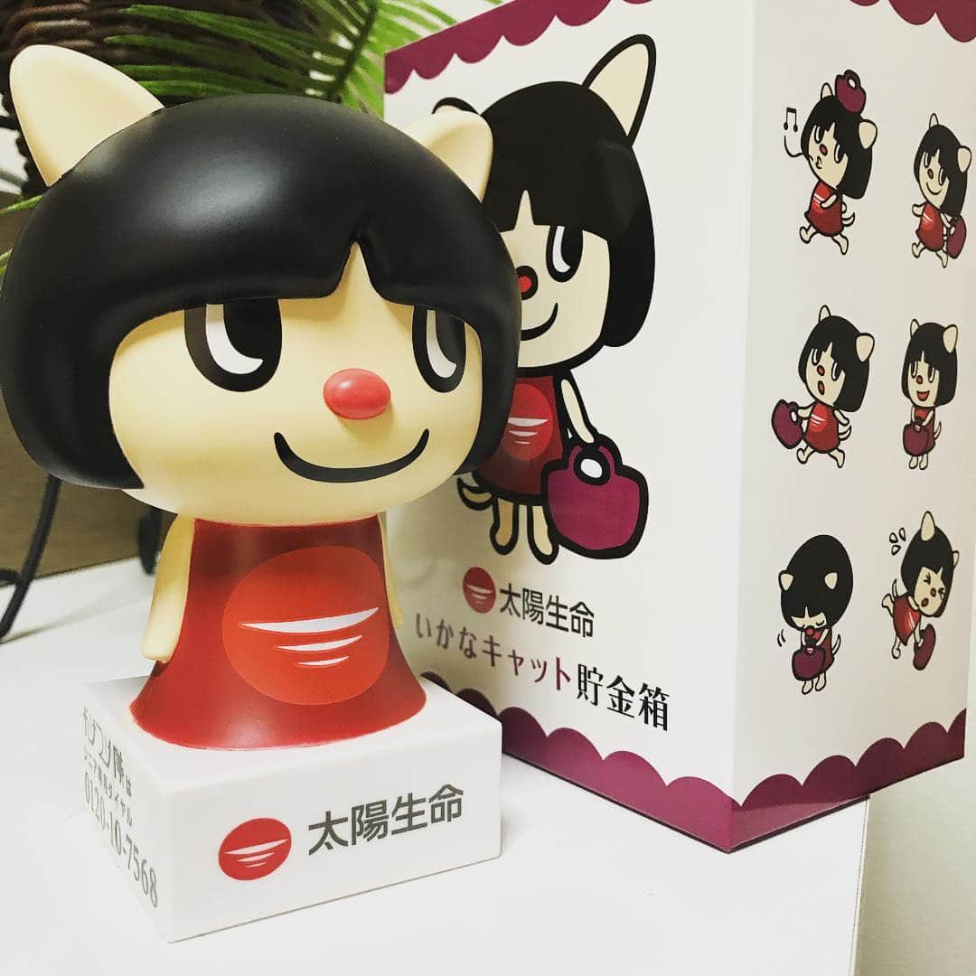 小森高博のインスタグラム：「「いかなキャット」ゲット！」