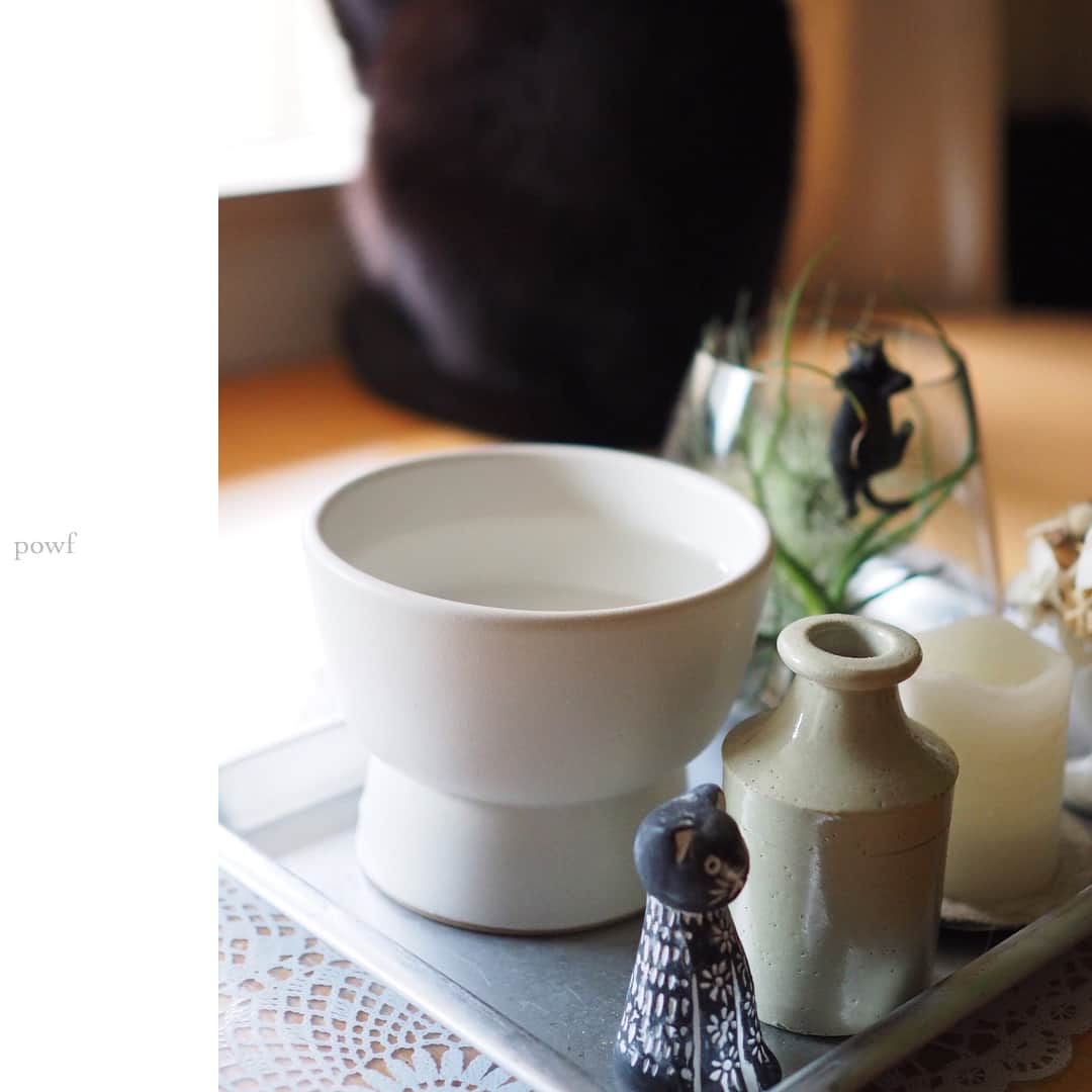 anemone_69のインスタグラム：「. RINN Cat Water Bowl IZUMI . 猫たちへの誕生日プレゼントは #大谷焼 の #猫用水飲み器 を。 . . #ミッドセンチュリーモダン . .」
