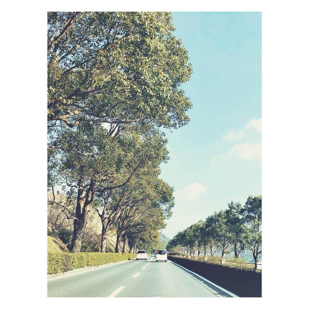 レオラさんのインスタグラム写真 - (レオラInstagram)「実家から熊本空港に向かうこの一本道は、いつも、「よし、またここから始まる。」そう思わせてくれる景色。この道で最後に深呼吸して、いつも熊本を離れます。 . この大好きな景色を、もっと元気に、鮮やかに…。 . 私もがんばるけん。 #熊本 #myhometown #熊本地震 #今日で2年」4月14日 15時21分 - leola_official