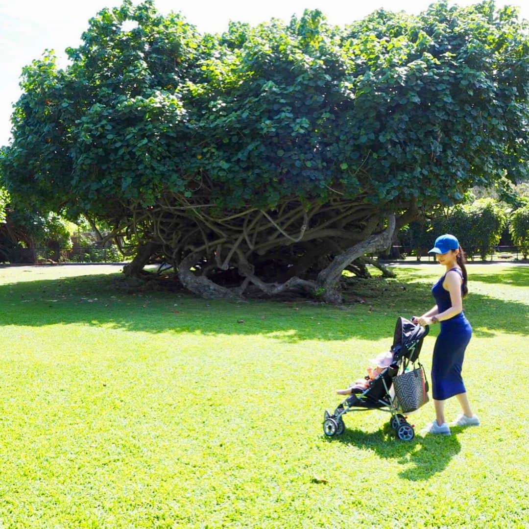 PINKYさんのインスタグラム写真 - (PINKYInstagram)「Honolulu Zoo🦒🐘🌈🌿 . すごく気持ちが良かったホノルル動物園👨‍👩‍👧🎶 .  ブログを更新しました📝❤️ ・・・ #love #happy #family #springbreak #islandtrip #vacation #hawaii #honoluluzoo #baby #babygirl #生後9ヶ月 #hubbywifey #mommydaddy #daughterlove #nofilterneeded」4月14日 15時46分 - shanti_pinky_shanti