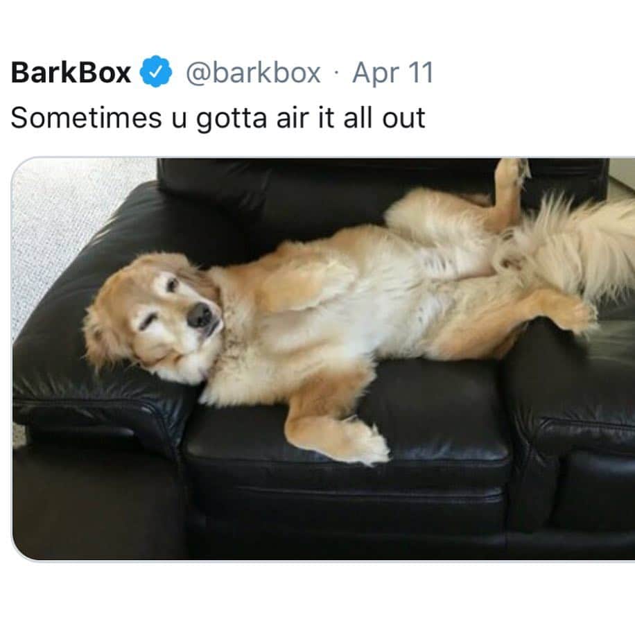 BarkBoxさんのインスタグラム写真 - (BarkBoxInstagram)「The Barkbox twitter account is full of truth and wisdom and dogs in spread eagle ❤️ #tweettweet #boofboof」4月15日 3時02分 - barkbox