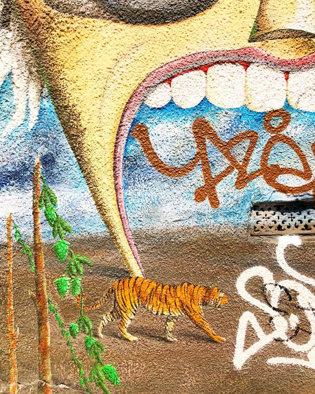 アリッサンドラ・アロノウのインスタグラム：「The magic of NYC street art 🤩🐅🎨」