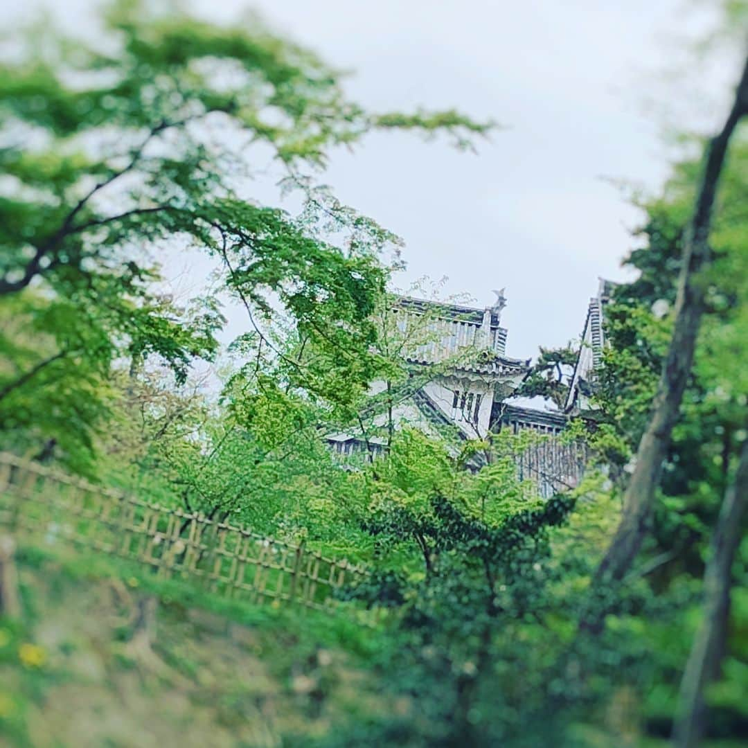 清水あすかさんのインスタグラム写真 - (清水あすかInstagram)「#愛知県 #名古屋  #岡崎城 #二の丸能楽堂  #能楽師狂言方大藏流大藏基誠  #能楽師狂言方大藏流大藏康誠  1枚目#能楽堂 2枚目、3枚目、4枚目 #五色の幕 を #イメージ して #スタッフ #腕章 を作って頂きました！  #かわいい  5枚目 岡崎城 6枚目 #直会 7枚目 #蒲郡みかんクラフトチューハイ  8枚目 #銀座空也 #差し入れ 9枚目 #旅館 のお部屋からの眺め #instagood」4月15日 10時50分 - asukahime1015