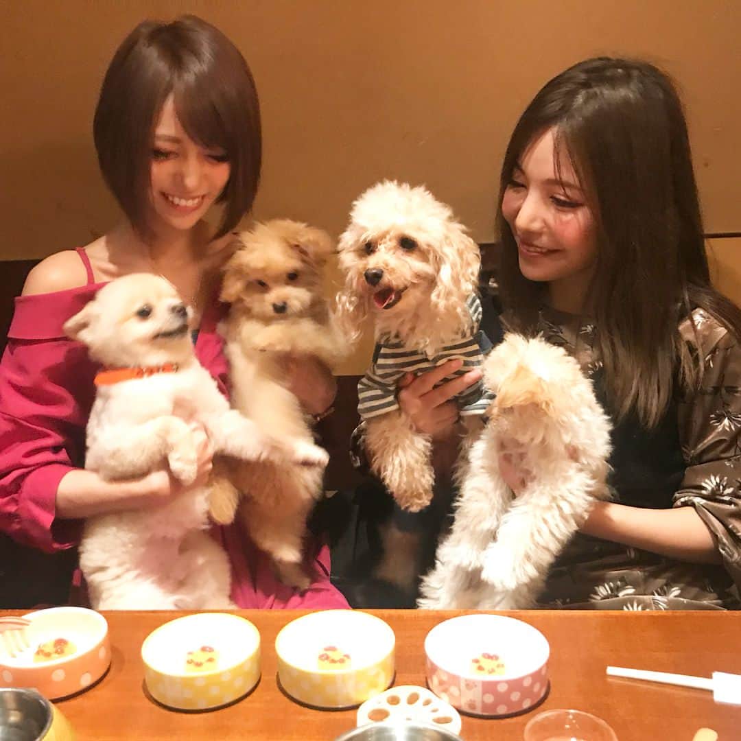 サキ吉のインスタグラム
