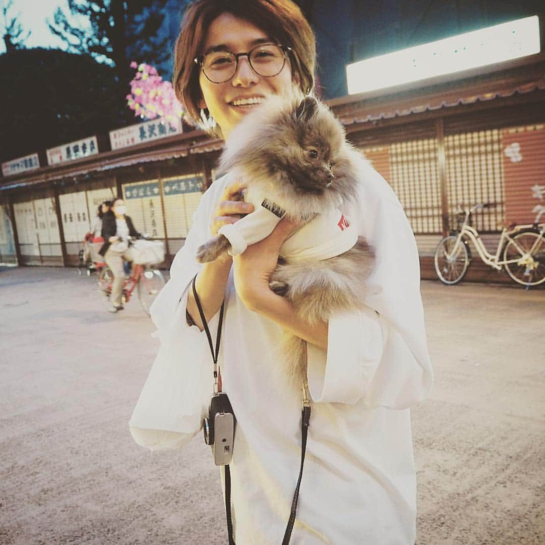 武田航平さんのインスタグラム写真 - (武田航平Instagram)「我が愛犬まるみみぽめのきびさんとの散歩風景画。 #散歩とかいって手になんか持ってるよな？ #それはなんだ？ #お土産風のそれはなんだ？ #いーにおいさせてたよな？ #自分の分だけかいやがって #匂いでばれてる #匂いじゃなくてふくろの形である程度バレてる #たこやき #たこ焼きだよね #撮影したとかいってさ #おまえのおやつかいにいっただけだよな #いつもそーだよな #散歩っていって自分が楽しんでる #飼い主の自己満 #だがそれがいい #とあたちはそっぽむく #きびのきもち #いぬすたぐらむ  #dogstagram  #親バカ部  #ポメラニアン #きび #ポメ #pomeranian #samurai #zoff #zoffclassic  #zoffsmart  #JOHNLAWRENCESULLIVAN #taylor83」4月15日 23時30分 - kouhei_takeda.official