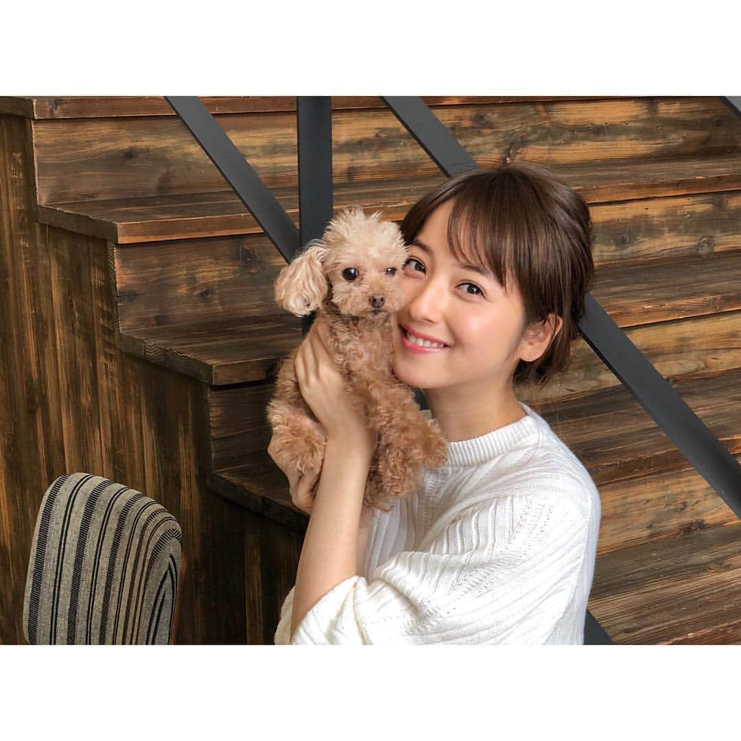 佐々木希さんのインスタグラム写真 - (佐々木希Instagram)「#愛犬 ちびも一緒😊 #広告」4月16日 17時31分 - nozomisasaki_official