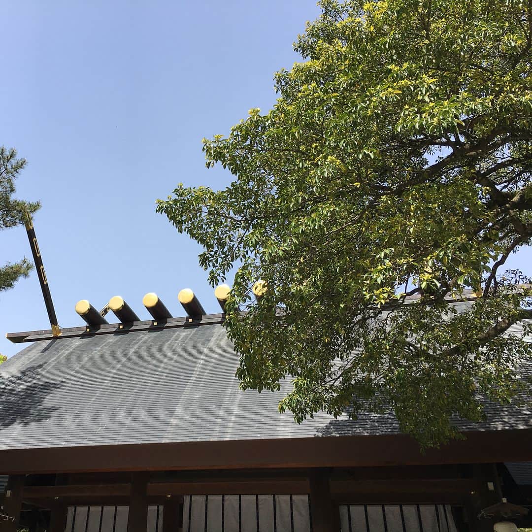 南條庄祐（すゑひろがりず）さんのインスタグラム写真 - (南條庄祐（すゑひろがりず）Instagram)「きれいなコケコッコ頂きました！ #熱田神宮  #縁起よろし #スマホ構えたらすぐ鳴いて下さった #連休」4月16日 17時05分 - garis.nanjo