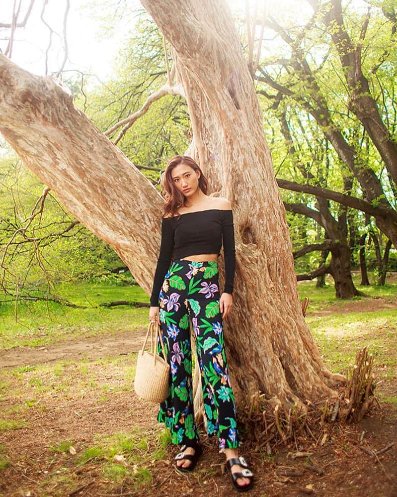 白雪のインスタグラム：「🌺🌿」