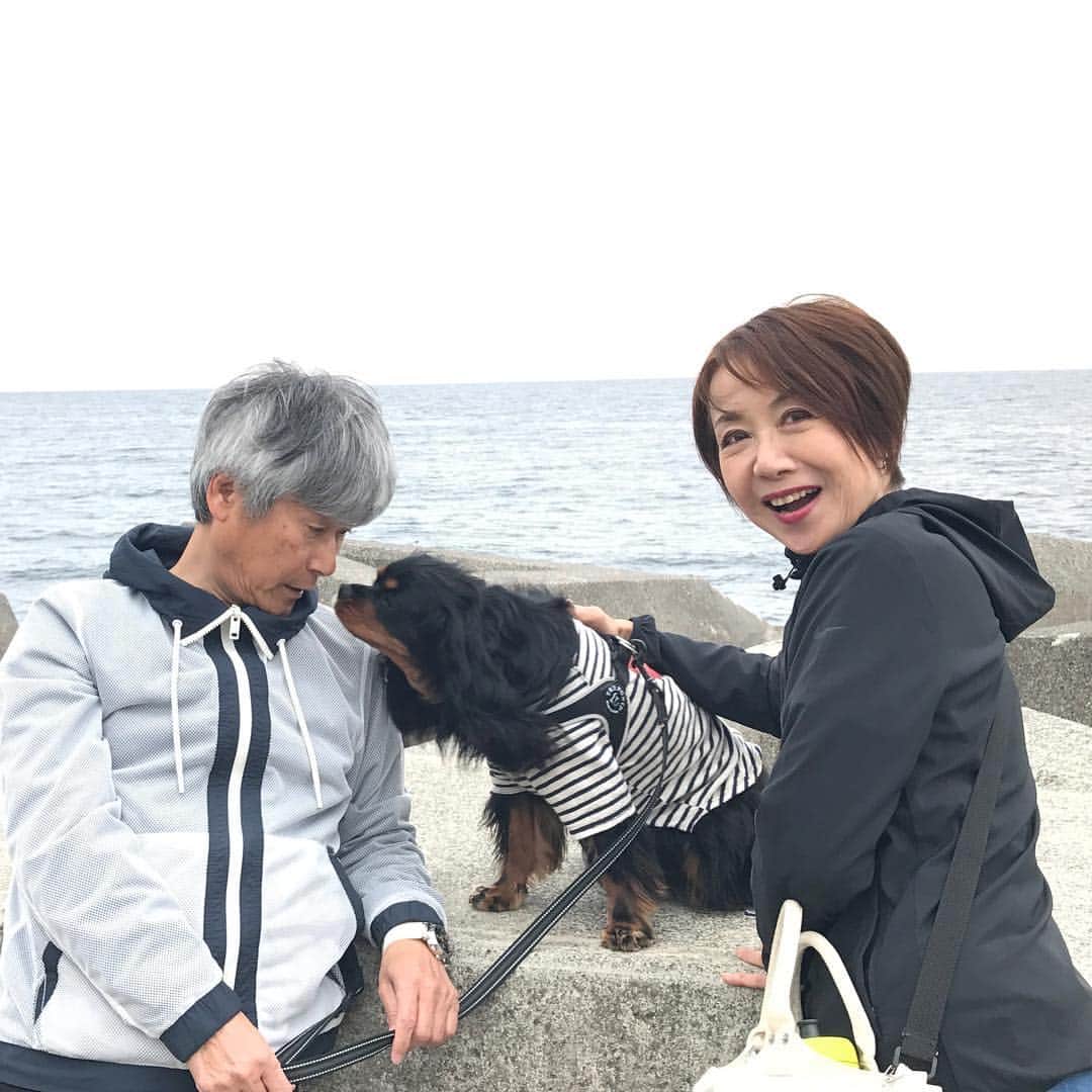 奈美悦子さんのインスタグラム写真 - (奈美悦子Instagram)「南熱海でのーんびり！クッキーもご機嫌！#南熱海#海#のんびり #クッキー#愛犬 #気持ち良い 空気」4月17日 20時51分 - nami.etsuko