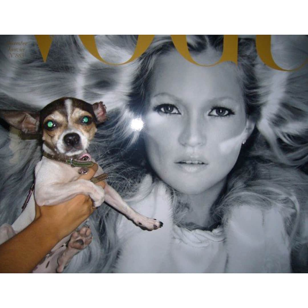 テリー・リチャードソンさんのインスタグラム写真 - (テリー・リチャードソンInstagram)「Rest in Power Kate Moss the dogg, loyal and hilarious companion 🙏🐕💔」4月17日 21時37分 - terryrichardson