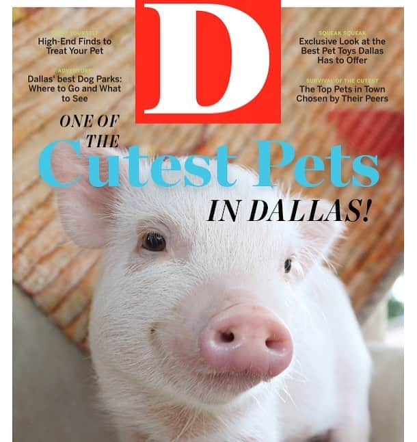 baconのインスタグラム：「@d_magazine Must have made a mistake! Someone tell them to delete “One of” from this cover please! 🐷🐽」