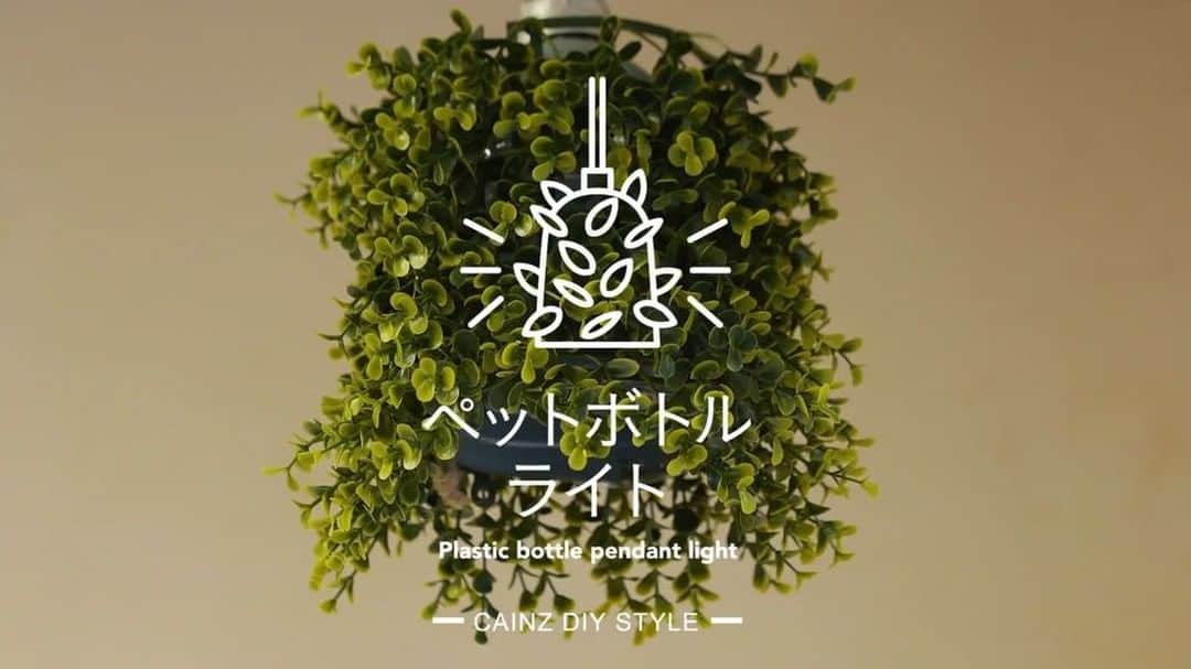 カインズのインスタグラム