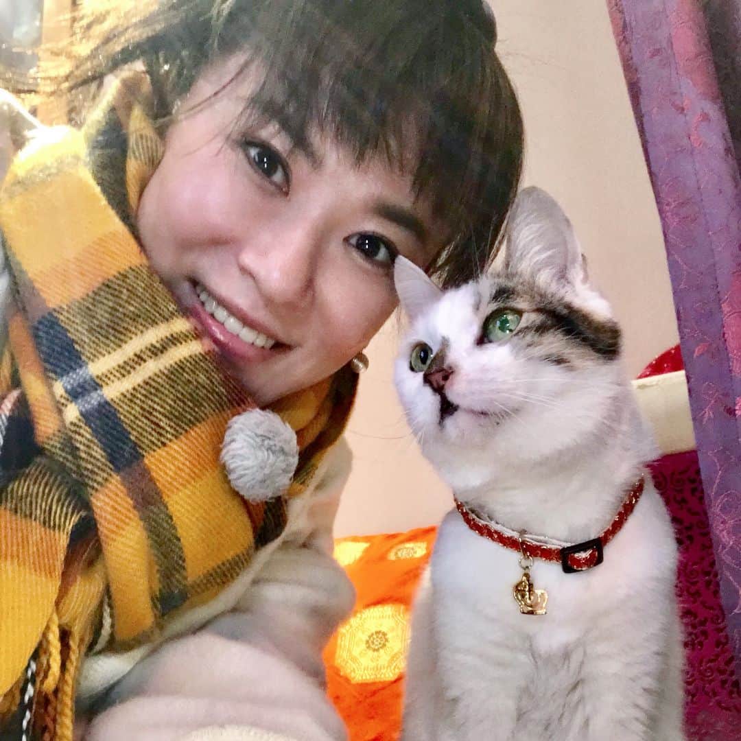 鈴木砂羽さんのインスタグラム写真 - (鈴木砂羽Instagram)「19日放送。 またにゃんこともふもふモフモフしてきました🐱  NHK総合 毎週木曜 午後10時25分 | 再放送 毎週水曜 午後11時55分（一部の地域を除く） 『超スゴ技を持つトイ・プードルのペアを電撃取材！女優の鈴木砂羽さんはにゃんこを訪ねて横浜を街ブラし激写！八の字まゆ毛模様がキュートな開運にゃんこが水戸に！他にも、卵のせに挑戦するわんこ、カーテンを上るスパイダーニャン、ワニと合体？するにゃんこ、哀愁のしば犬3兄弟、相思相愛からけん怠期を迎えたわんにゃんカップル、驚きのジャンプ猫、しりとり犬など。今回もかわいいもふもふがいっぱい。声の案内は堤真一さん』 【語り】堤真一,【リポーター】鈴木砂羽  http://www4.nhk.or.jp  にゃんこツーショットハンター再び！！😸📸 お楽しみに〜😻 #NHK総合 #もふもふモフモフ  #横浜 #わんこ #にゃんこ #ツーショットハンター」4月19日 1時16分 - bombon_sawa