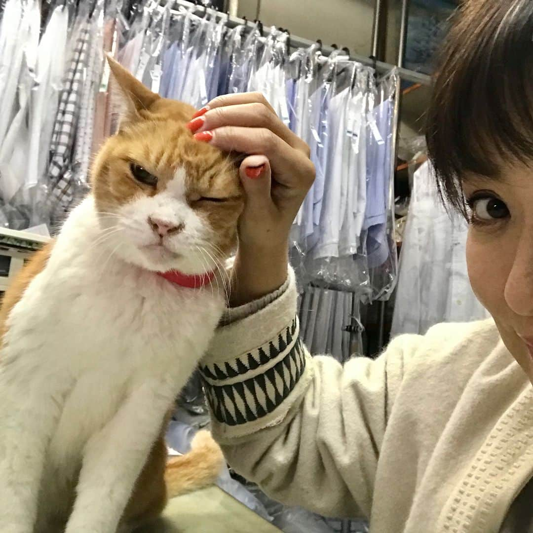 鈴木砂羽さんのインスタグラム写真 - (鈴木砂羽Instagram)「19日放送。 またにゃんこともふもふモフモフしてきました🐱  NHK総合 毎週木曜 午後10時25分 | 再放送 毎週水曜 午後11時55分（一部の地域を除く） 『超スゴ技を持つトイ・プードルのペアを電撃取材！女優の鈴木砂羽さんはにゃんこを訪ねて横浜を街ブラし激写！八の字まゆ毛模様がキュートな開運にゃんこが水戸に！他にも、卵のせに挑戦するわんこ、カーテンを上るスパイダーニャン、ワニと合体？するにゃんこ、哀愁のしば犬3兄弟、相思相愛からけん怠期を迎えたわんにゃんカップル、驚きのジャンプ猫、しりとり犬など。今回もかわいいもふもふがいっぱい。声の案内は堤真一さん』 【語り】堤真一,【リポーター】鈴木砂羽  http://www4.nhk.or.jp  にゃんこツーショットハンター再び！！😸📸 お楽しみに〜😻 #NHK総合 #もふもふモフモフ  #横浜 #わんこ #にゃんこ #ツーショットハンター」4月19日 1時16分 - bombon_sawa