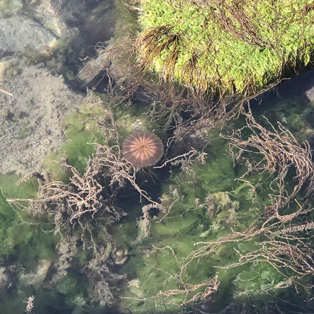 水原希子 さんのインスタグラム写真 - (水原希子 Instagram)「直🌱島 〰 n a o s h i m a 〰 大竹伸朗さんの I♡湯 に恋に落ちた。 好きすぎて２回も銭湯入りました笑 直島❤️最高」4月18日 20時32分 - i_am_kiko