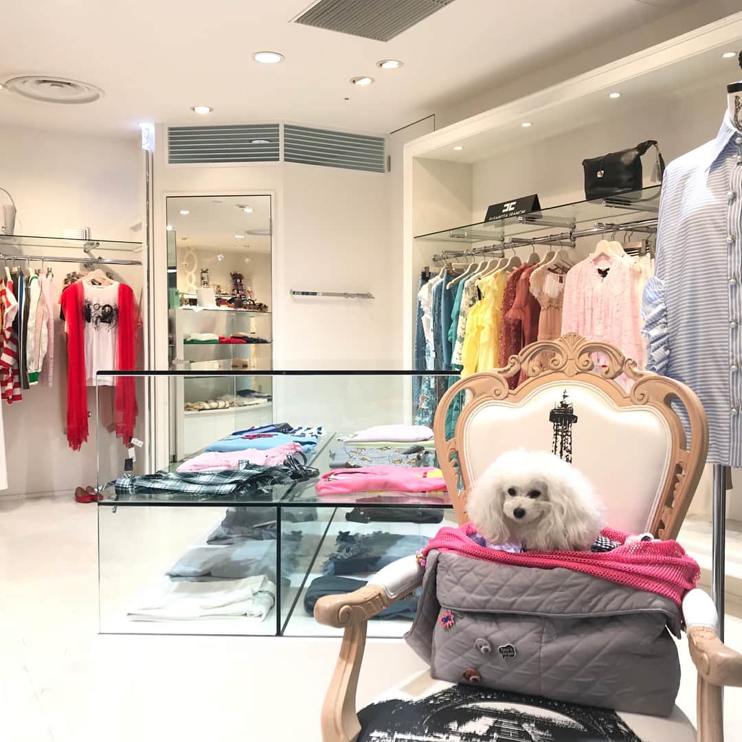 愛内里菜のインスタグラム：「私の大好きなセレクトショップf's6（エフズセイ） 👗  エフズセイ×ボンボンコピーヌ のコラボスリングで出勤した、 オーナーの愛犬ちゃんのパチリが超キュート📸💕 フカフカクッション入りでスリングの枠を超えたこの安定感👍 こうやってスリングに入ったまま待ってもらえるのが とっても使いやすいんです😊  そしてこのデザインどんなお洋服にも 合わせやすーい😆✨ f's6で店頭販売スタート！  Bon Bon Copine WEBストアからも お買い物できます！😉 ワッペンバッチは付いておりません！ エフズセイお取り扱い商品となりますのでお問い合わせください！！ #f's6 #エフズセイ #BonBonCopine  #おしゃれスリング」