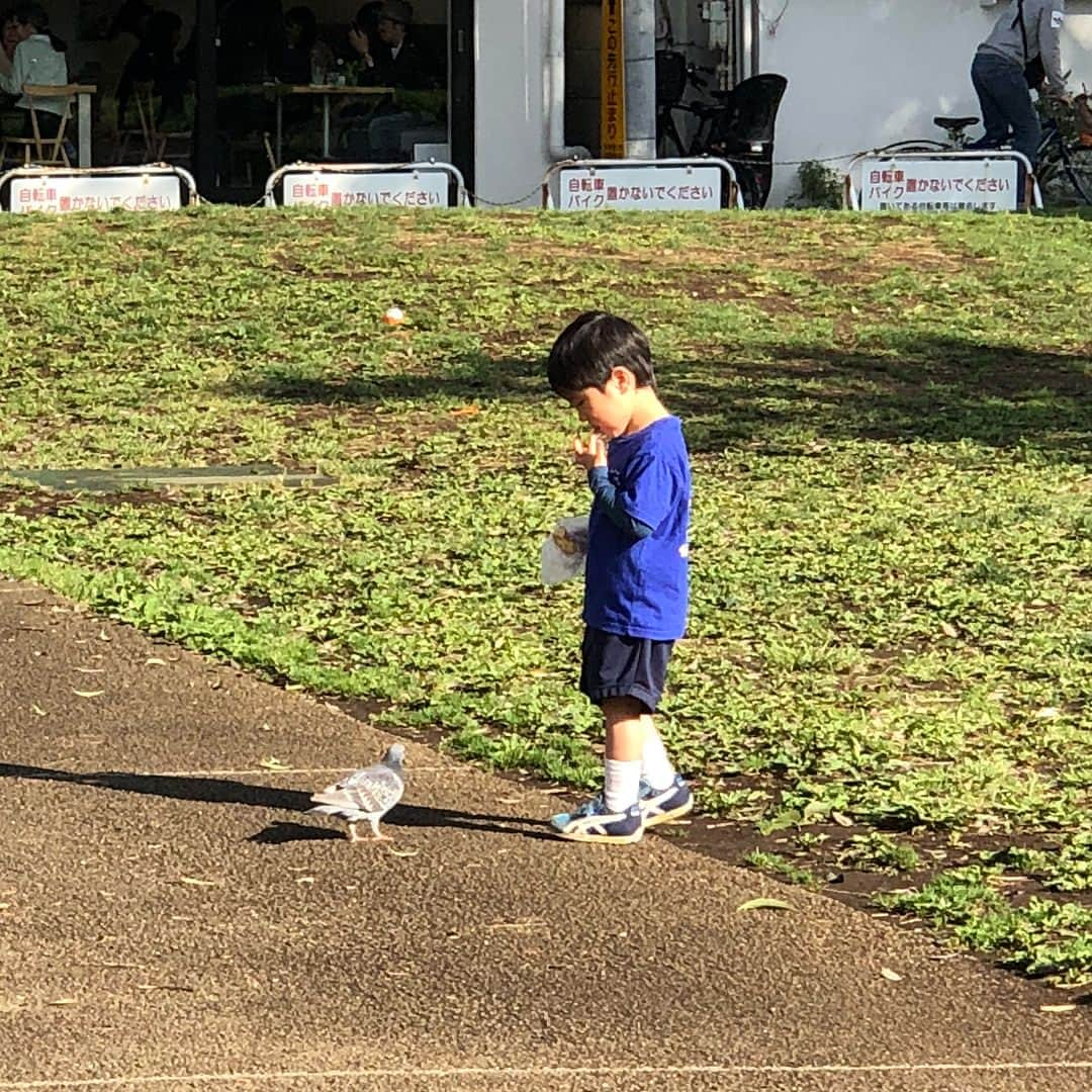 ギモさんのインスタグラム写真 - (ギモInstagram)「🌳 너무 귀여운 콤비! #japan #kichijoji #키치죠지」4月19日 8時13分 - 1room1cat