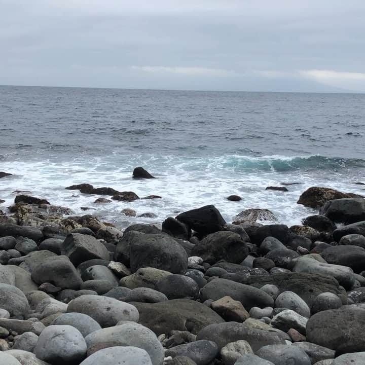 のインスタグラム：「旅の最後はやはり温泉で♨️ 海が望める露天風呂につかるはるたん。 俺は気恥ずかしいので海の絶景動画を撮るのみにし...ようと思っていたら、うっかりカメラをはるたんに向けてしまった。 #そしたらそしたら #この笑顔 #なんたる奇跡なんたる幸福 #生まれてきてよかった #いつかこの気持ちを伝えられるといいな #でも今は大切に胸にしまっておこう #はるたんと伊豆旅行シリーズ #これにて終わり #だお」