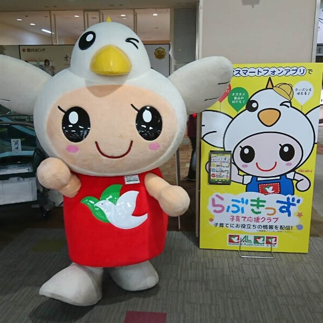 平和堂イメージキャラクター「はとっぴー」のインスタグラム