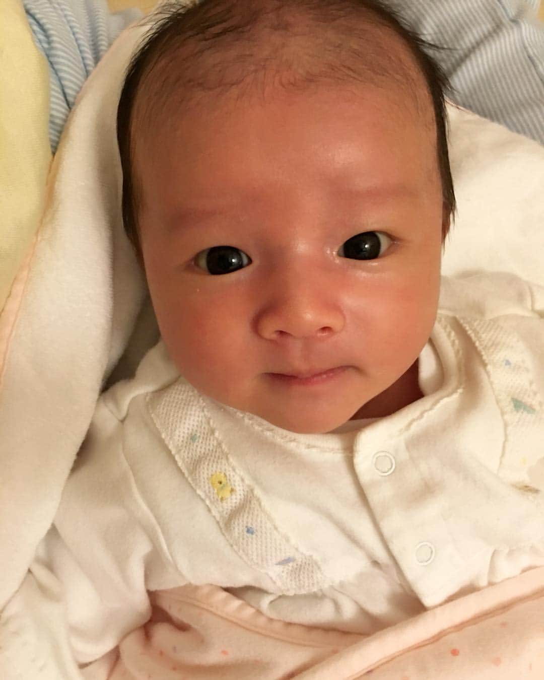 宇佐美蘭さんのインスタグラム写真 宇佐美蘭instagram ぷくぷくし過ぎたせいか二重が一重になった ずっと見ていられるなぁ 癒し 新生児 赤ちゃん おすまし顔 成長中 4月19日 時57分 Usamiran Official
