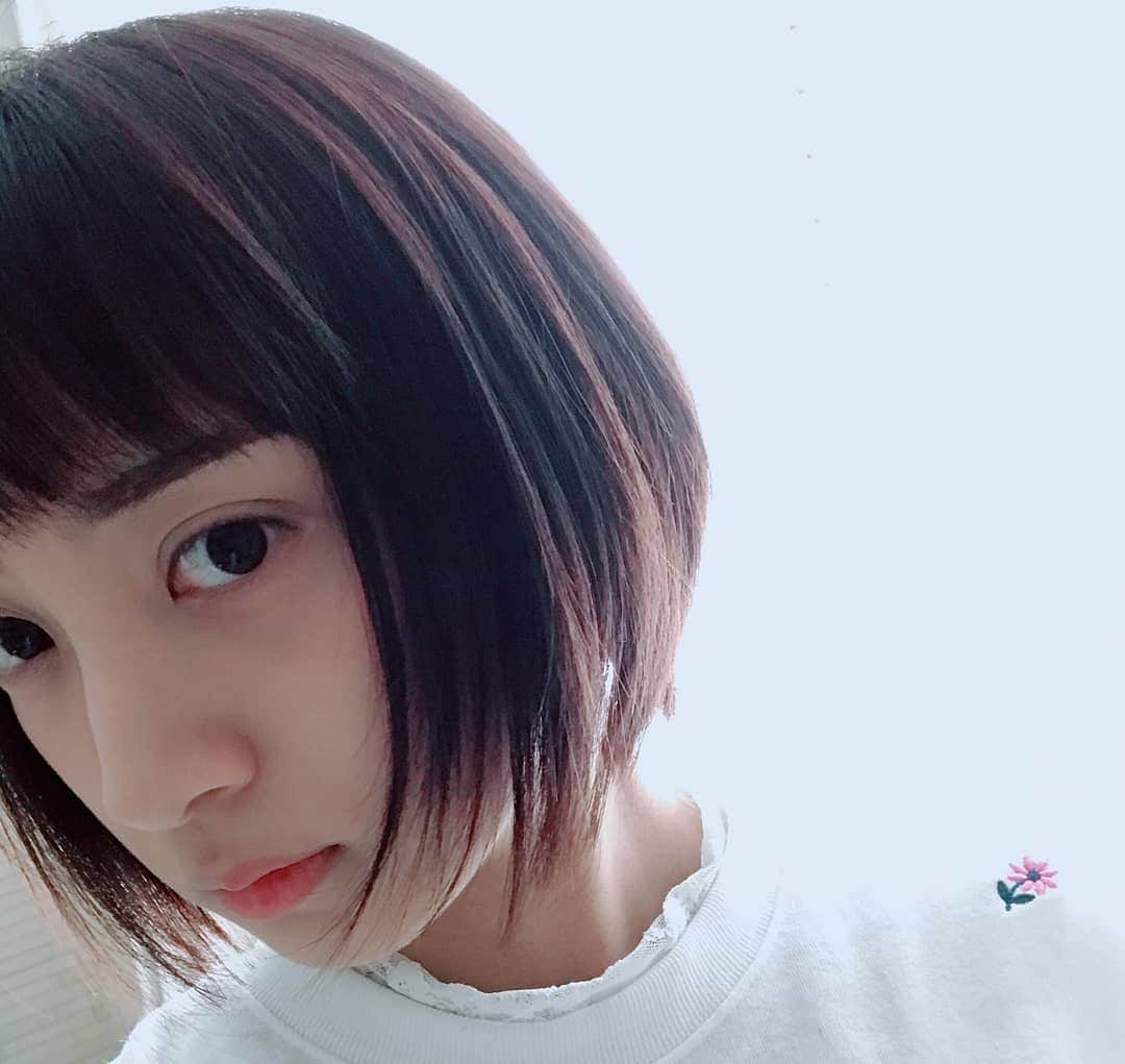 辻本杏のインスタグラム：「切って染めてきました😘 わかりにくいけど暗めのピンクブラウン」