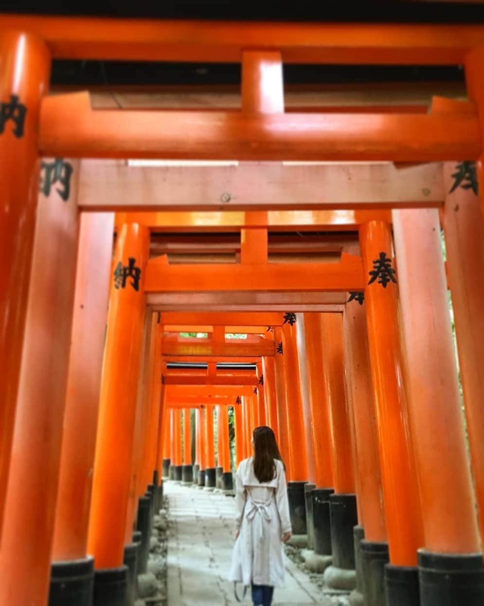杉山由紀子のインスタグラム：「ずっと行きたかった ⛩️伏見稲荷大社へ⛩️ * 想像以上にスゴくて✨ 感動感動😊♥️ * そして人がうつらないっていう 奇跡的な写真✨ * * ひょんなところから芸能の神様にもお参りできて✨ やはりきてるなと思うひとこまでした！ * 最近さらに引きが強くなってきた♥️♥️♥️w * * #伏見稲荷大社 #伏見稲荷 #稲荷 #神社 #京都 #日本 #おすすめ #japan #kyoto #鳥居 #強運 #夢の一つ #次々叶えるぞ #杉山由紀子 #followme #japan #tokyo #girl」