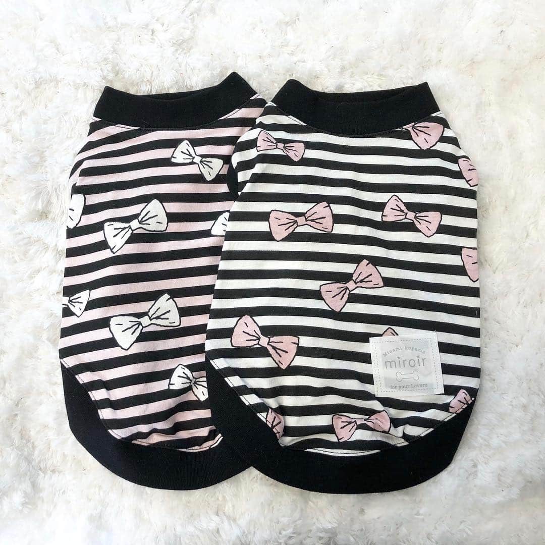 miroir ?miroir(ミロワール)?のインスタグラム：「* * miroirの新作が登場です✨ * 『リボンボーダー』 ￥5800(税抜) * ボーダーとリボン柄がキュートなこの時期大活躍間違いなしアイテム✨ 首元のリボンとチャームで可愛さ倍増😍 綿100%の優しいシャツです！ S・M・Ｌ・XL・1Ｌ・2Ｌ・3Ｌをご用意しております🐶 大型犬も着れちゃう可愛いシャツです❤️ カラーはホワイト、ピンクの2色ございます！ Miss BIBI青山店、Miss BIBI広尾店、Miss BIBIオンラインショップにてご購入頂けます * * #miroir#missbibi#minamiaoyama#hiroo#dogstagram #dogwear #new#dogapparel #ミロワール#ミスビビ#オリジナルブランド#犬服#猫服#わんこ#ねこちゃん#犬 #犬グッズ#トリミングサロン#オンラインショップ」