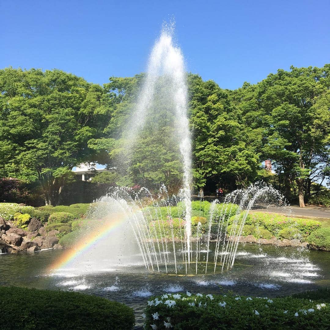 東海大学（公式）さんのインスタグラム写真 - (東海大学（公式）Instagram)「本日もいい天気ですね✨ 東海大学湘南キャンパスの噴水では綺麗な虹が見られました🌈✨ #東海大学 #湘南キャンパス #噴水 #虹 #きれい」4月20日 15時38分 - tokai_univ_