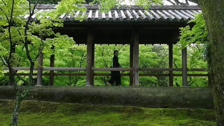京都いいとこフォトのインスタグラム
