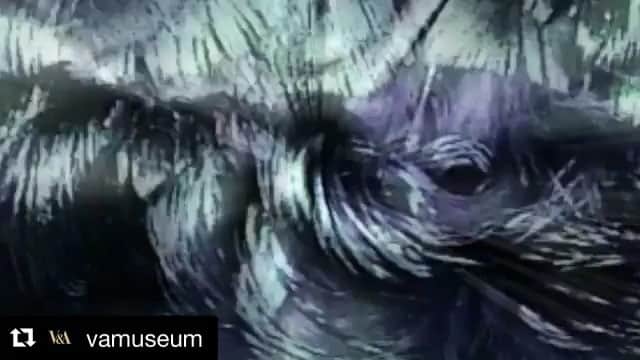 のインスタグラム：「Incredibly honoured and proud to be part of @vamuseum #FashionedfromNature exhibition. If you're in London, go and see it! https://www.vam.ac.uk/exhibitions/fashioned-from-nature」