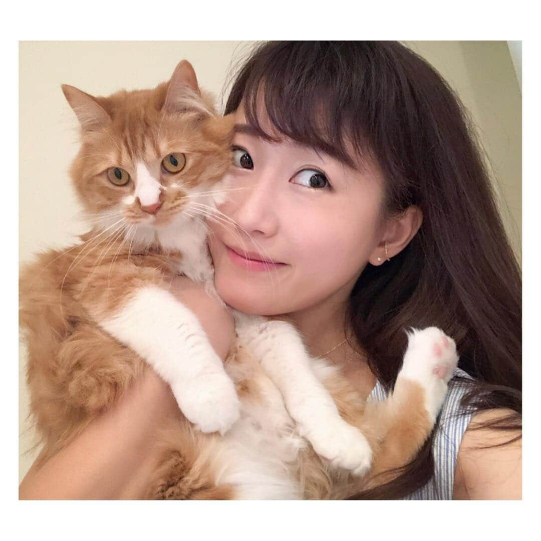 津田麻莉奈さんのインスタグラム写真 - (津田麻莉奈Instagram)「今日も可愛い虎太郎くん🐯❤️ ⁑ #gm #おはよう #おはよーちゃん #自撮り #猫 #ねこ #ねこ部 #fuffycat #甘えんぼ猫 #ねこすたぐらむ #ミックス猫 #スコティッシュミックス #茶白猫 #猫との暮らし #ねことわたし #petstagram #고양이 #chat #kissa #kucing #kat #catstagram #catlover #ねこ好き #愛猫家 #japanesegirl #talent #まりなる #津田麻莉奈 #うちの虎太郎くん」5月16日 9時06分 - tsudamarinal