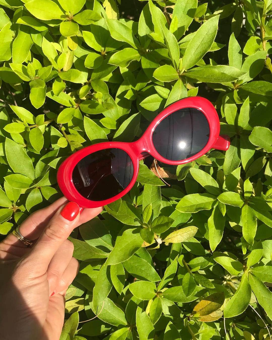 Zoff Officialのインスタグラム：「暑いですね🌞 元気なカラーのサングラス🕶🔻 かわいいトマトカラー🍅 ストレートボブや ポニーテールなどにも合いそうな オーバルサングラス。 もちろん男性にもおすすめ！ ブラックのフレームもあります🕶 . ZH181G01_23E1 ￥5,940(税込) #fashion #sunglasseslover #eye#eyewear#eyewearstyle #sunglasses#sunglassesfashion #sunglasses😎#🕶#👓#😎 #メガネ#メガネ女子#メガネ男子#サングラス#optical#ゾフ#new#zoff#clear#fashiondiaries」