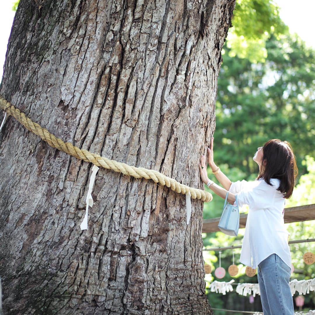 木本泉のグルメインスタ