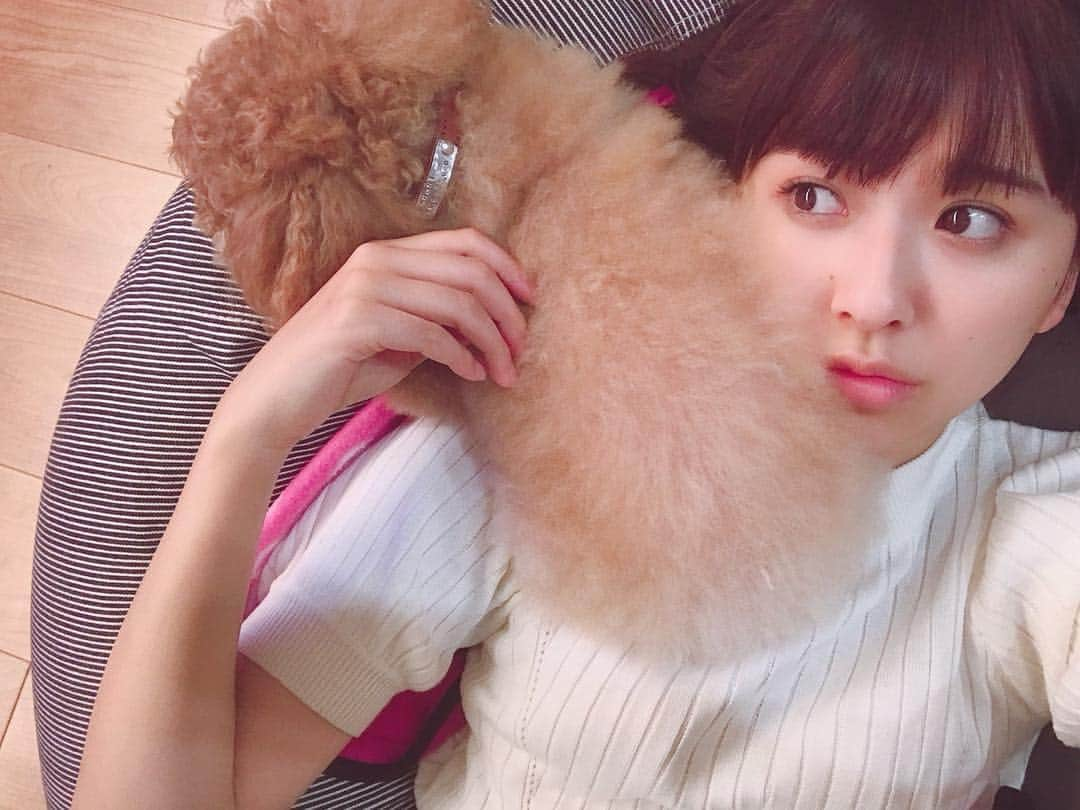 玉井詩織さんのインスタグラム写真 - (玉井詩織Instagram)「🐶🐶🐶 #愛犬イロハ #もふもふ」5月16日 22時53分 - shioritamai_official