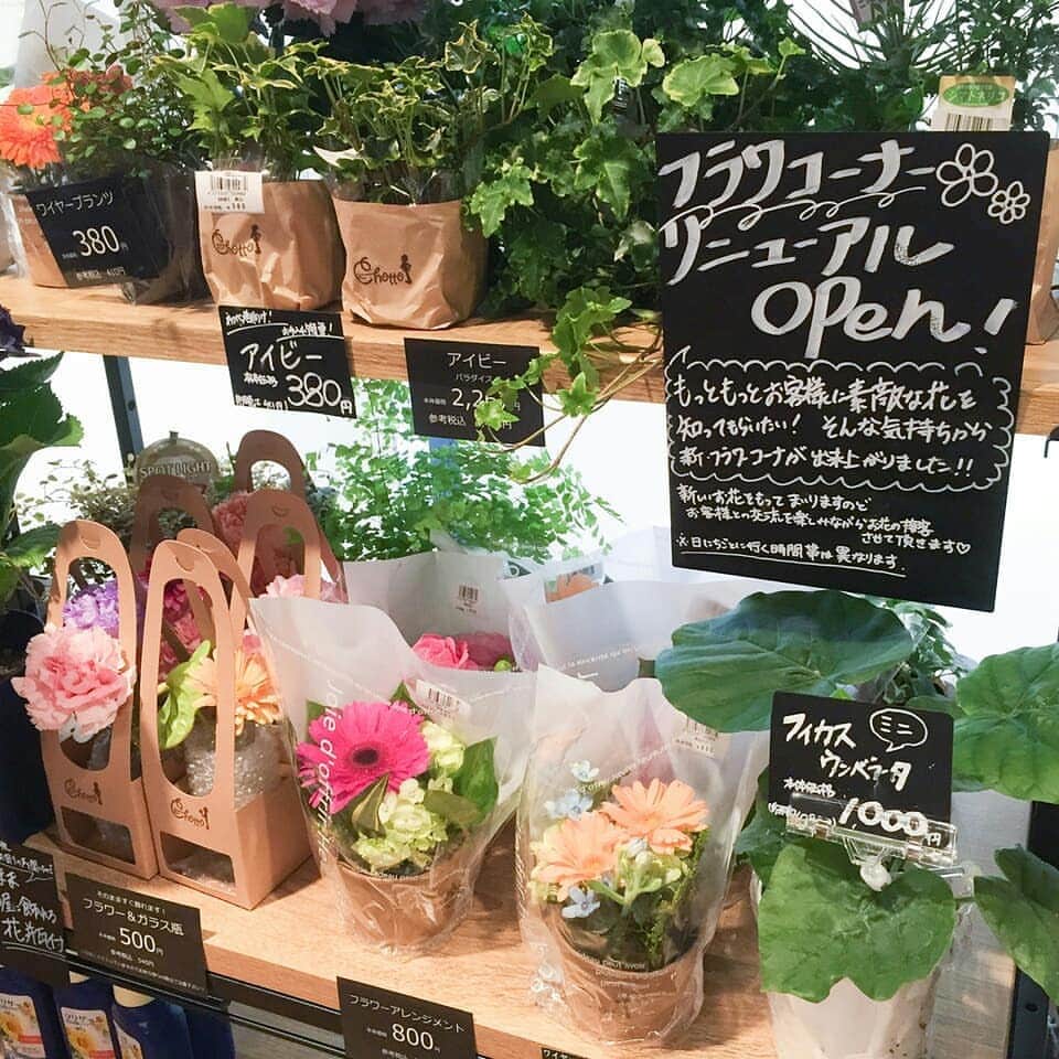 吹田グリーンプレイス公式のグルメインスタ