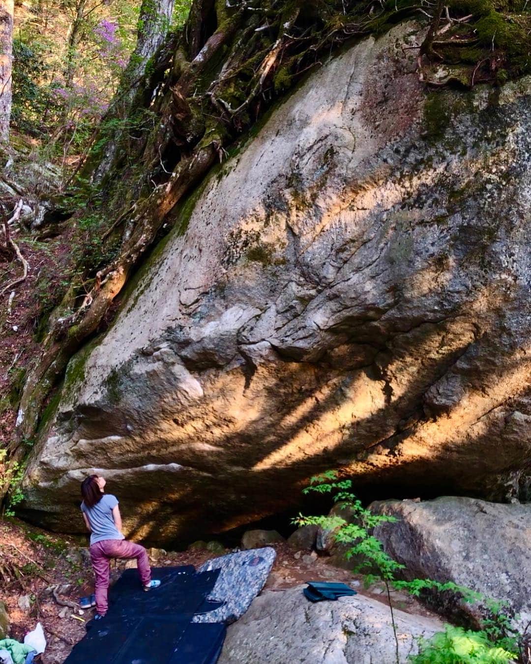 植田夢月のグルメインスタ