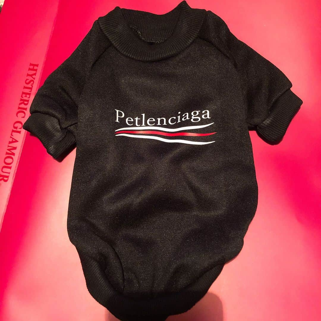 JULIANさんのインスタグラム写真 - (JULIANInstagram)「ペット服ブランド【PETEMENTS】さんから、うちのインフルエンサー犬クロムに可愛い洋服頂きました💕 時間がなかったからブラッシングする間なくボサボサやけど😅 【PETEMENTS】@petements_japan (着用サイズMサイズ) #petements #ペトモン #ペトレンシアガ 今トレンドのブランドのパロディデザインでしかもペット服ってあんまり黒系ないから良き⭐︎ 他にも色々なストリート系デザインあるから、みんなも見てね❤️ 🐾🐾🐾🐾🐾🐾🐾🐾🐾 CHOROME(5th)toypoodle 🐩🐩🐩🐩🐩🐩🐩 #toypoodle  #instapoodle  #犬 #わんこ #ペット #インスタ犬 #イケメン犬 #モデル犬 #エブリドッグ #トイプードル #トイプードル部  #トイプー  #プードル #ティーカッププードル  #親バカ部  #愛犬 #犬バカ部 #いぬすたぐらむ  #犬のいる暮らし #わんすたぐらむ #ペットパラダイス  #vetements  #balenciaga  #멍스타그램 #犬好きな人と繋がりたい #インスタグラマー #インフルエンサー 🐩🐩🐩🐩🐩🐩🐩🐩🐩」5月17日 20時28分 - julian_official_jp